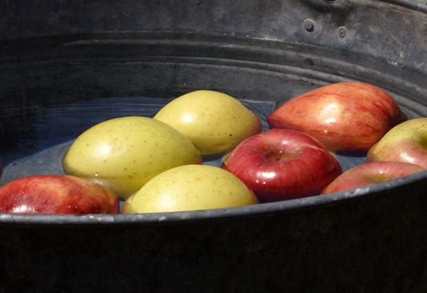 Bobbing For Apples Came From Goddess Of Fruit