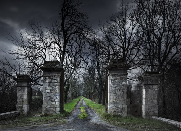 Kid Friendly Ghost Tour Haunted Gate Leading To Creepy Halloween Forest