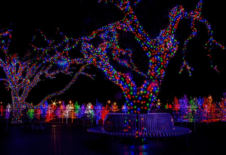 park lit up with christmas lights