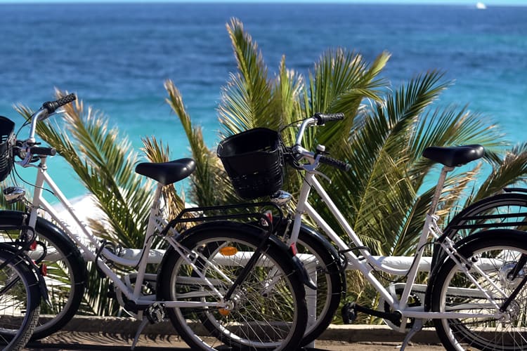 beach cruisers in los angeles for unique family experiences