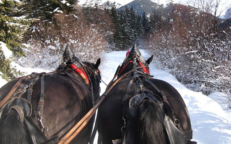 Sleigh Ride In Maine