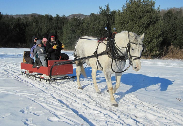 {Updated} Get Outside With These Family-Friendly Sleigh Rides