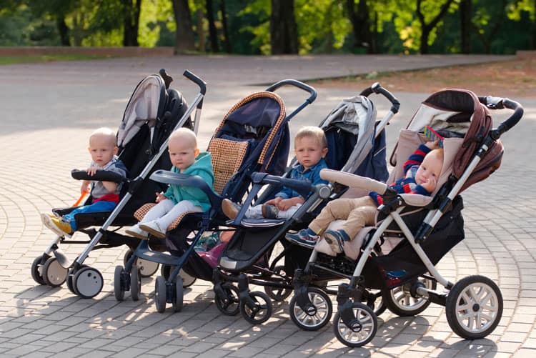 Group Of Babies In Strollers