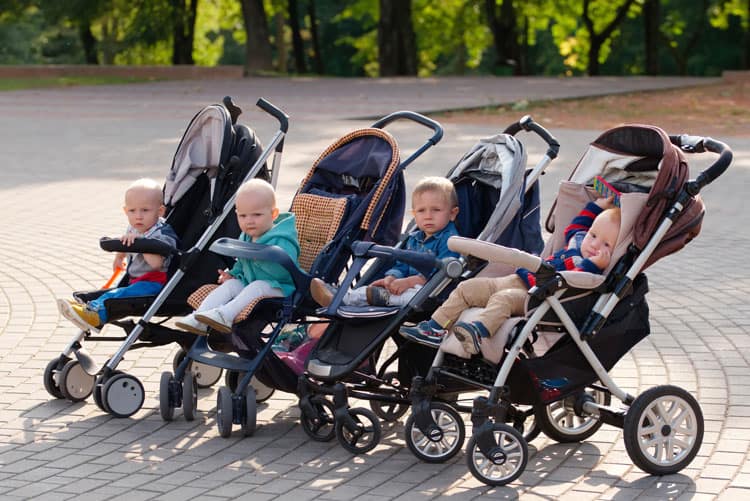 Group Of Babies In Strollers In Nyc