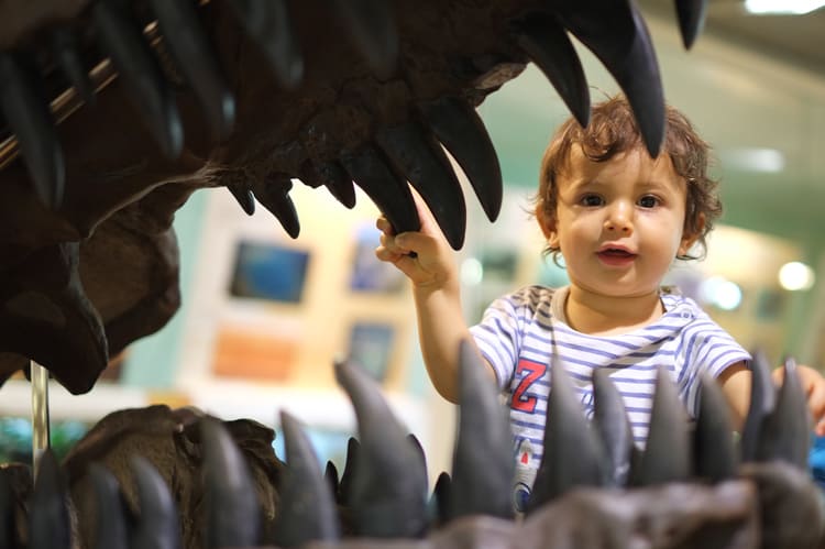 Baby At New York Childrens Museum