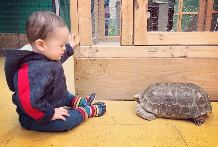 {Updated} 11 Things To Do With Babies In Nyc