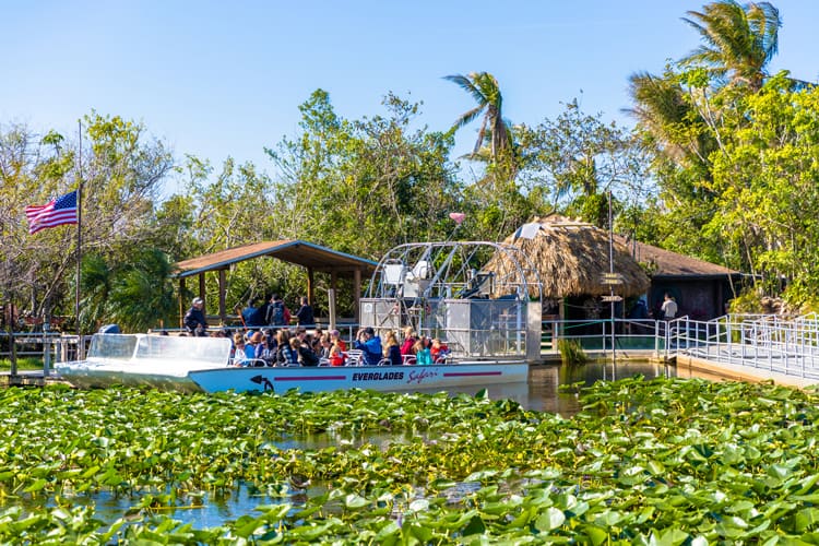 Airboat Everglades Tour Miami