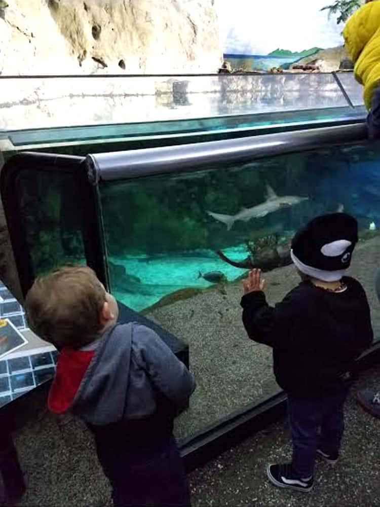 san diego sea world