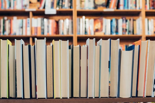 read books at the library for a staycation idea