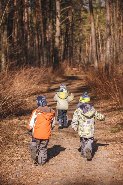 Three Children Hiking In The Forest On A Backpacking Trip