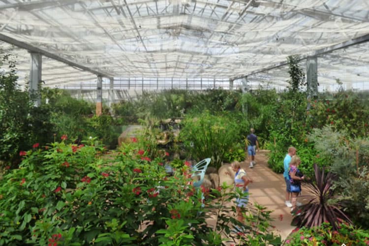 butterfly garden phoenix arizona
