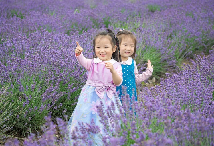 Little Girls In Maui Lavender Field