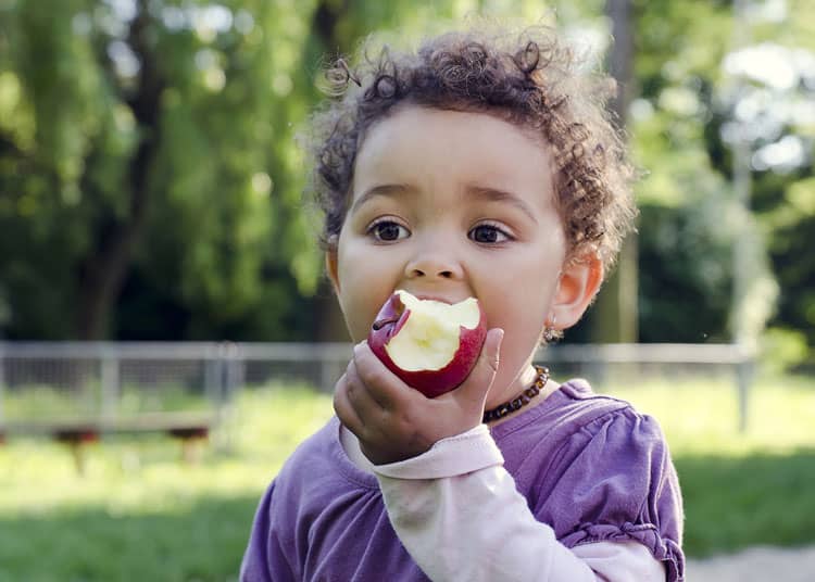 35 Healthy-ish Snacks for Toddlers on a Plane (or a Road Trip) That Will  Make Traveling a Breeze • Making Family Travel Manageable