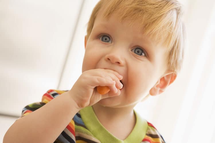 Boy Eating A Carrot