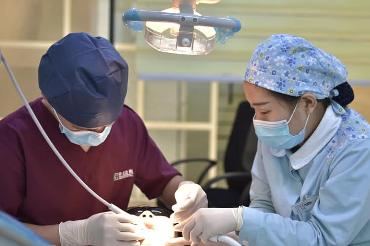 Dentist And Assistant Performing Dental Work