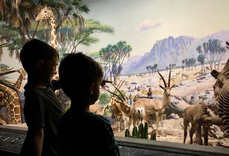 Children Looking At Museum Exhibit