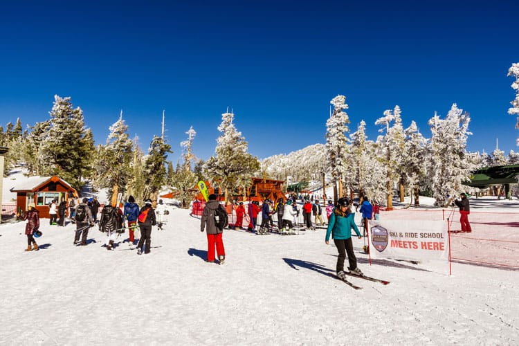 people on skis in the winter snow