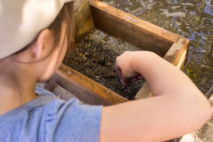 child panning for gemstones at heavenly resort