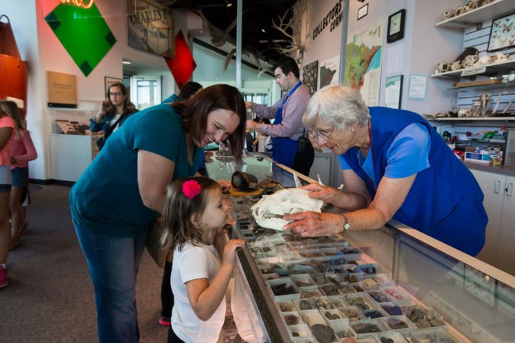 Science Museum Of Minnesota: A Full Day Itinerary