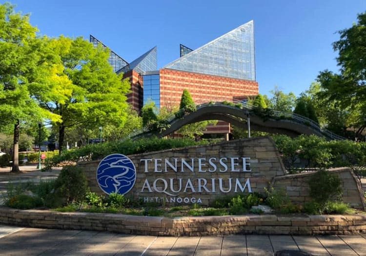 Tennessee Aquarium, Chattanooga Tennessee