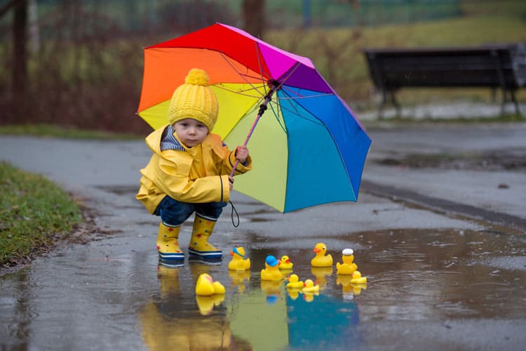 Small Child Playing With Rubber Duckies In A Puddle
