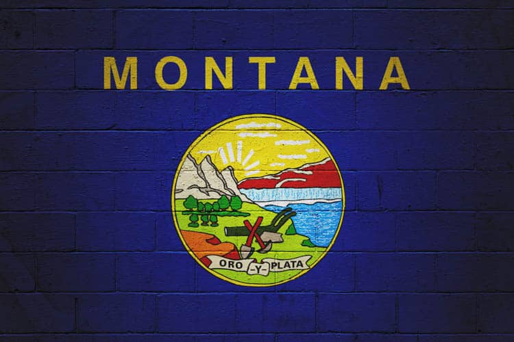 Montana State Flag Painted On A Wall