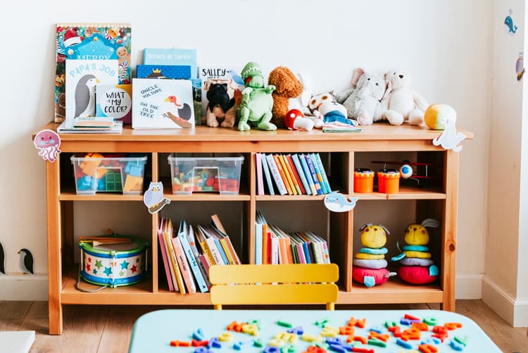 Tosy And Books On A Shelf