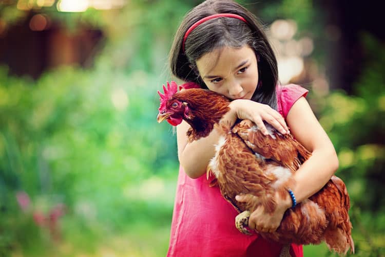 Girl Hugging Her Pet Chicken