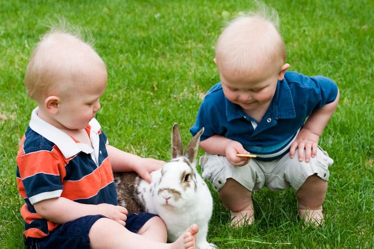 Twins Playing With Pet Rabbit