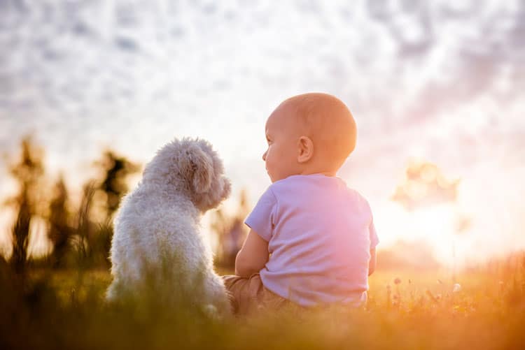 10 Best Pets For Small Children