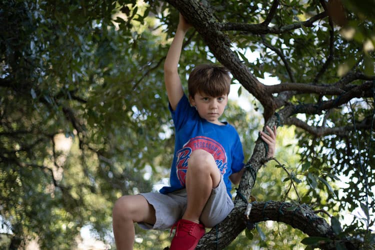 Child In A Tree