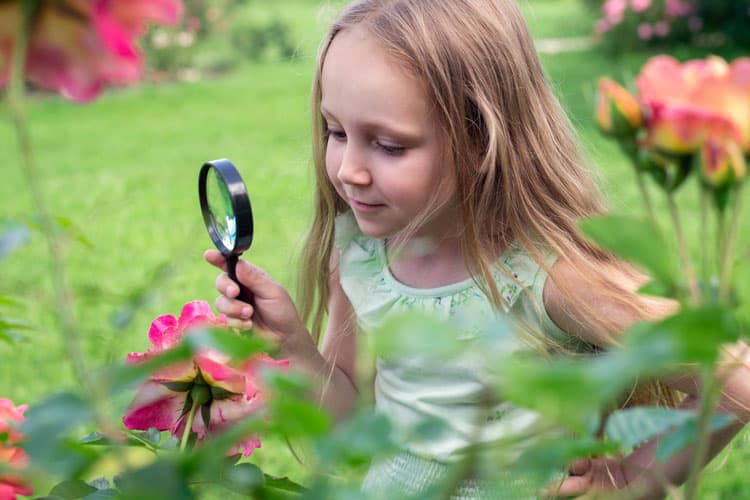 Best Botanical Gardens For Kids