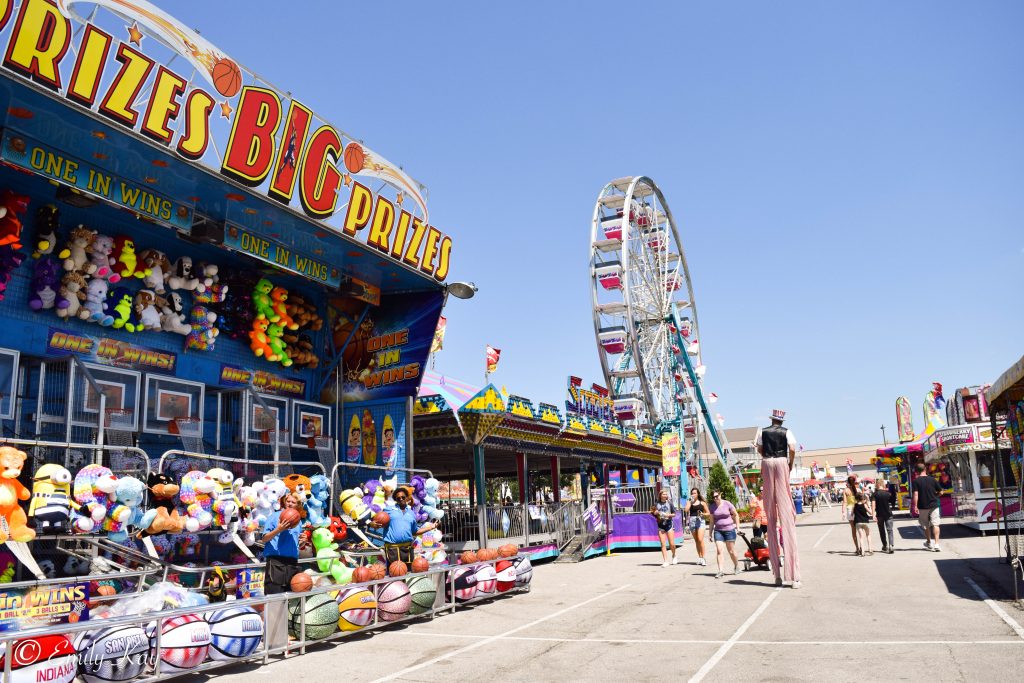 8 Best State Fairs For Families