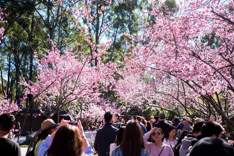 Auburn Botanic Gardens With Your Family BabyQuip