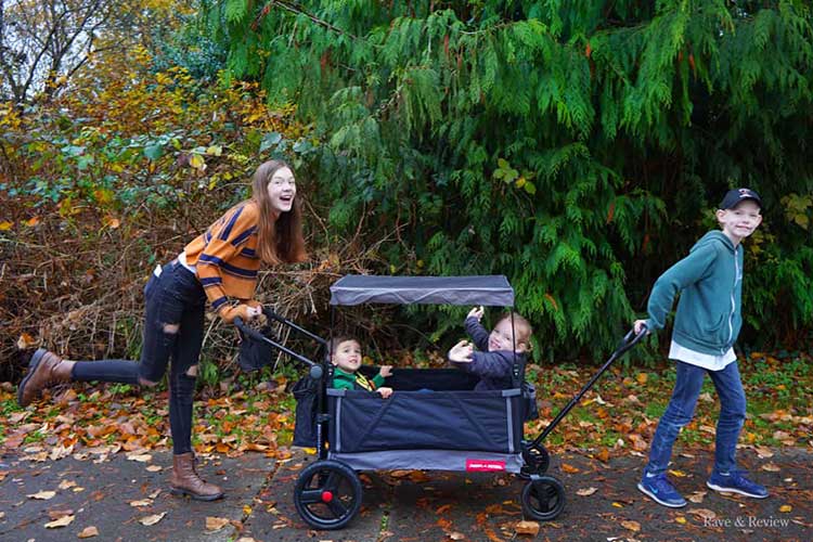 Alternatives To Renting A Stroller Wagon