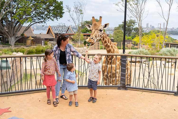 taronga zoo plan your visit