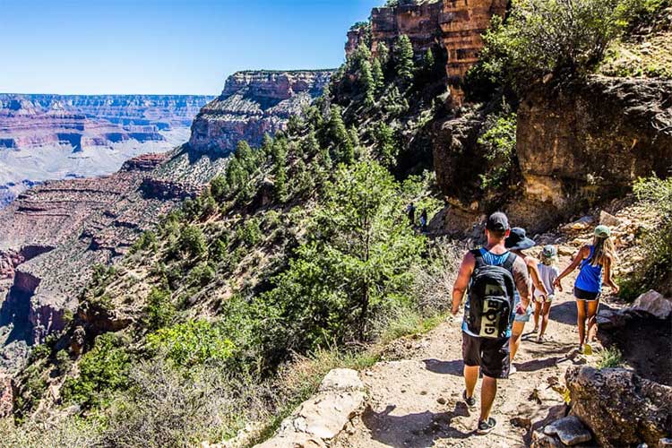 Visiting The Grand Canyon With Young Children: Tips For A Safe And Memorable Trip