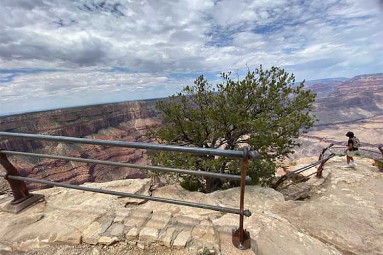 Visiting The Grand Canyon With Young Children: Tips For A Safe And Memorable Trip
