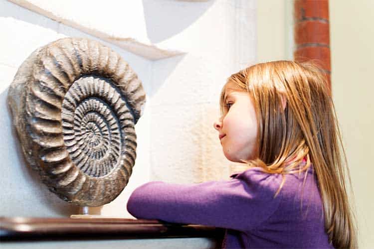 7 Family-Friendly Museums In New Zealand You Don'T Want To Miss
