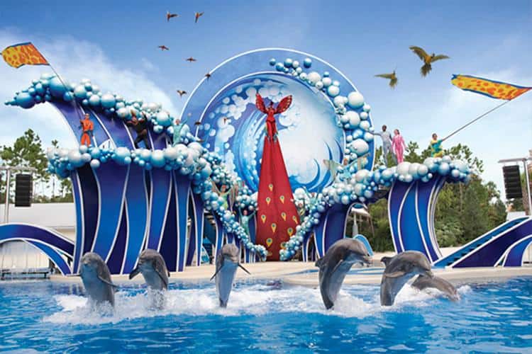 Seaworld'S Shows: An Exciting Introduction To Marine Life