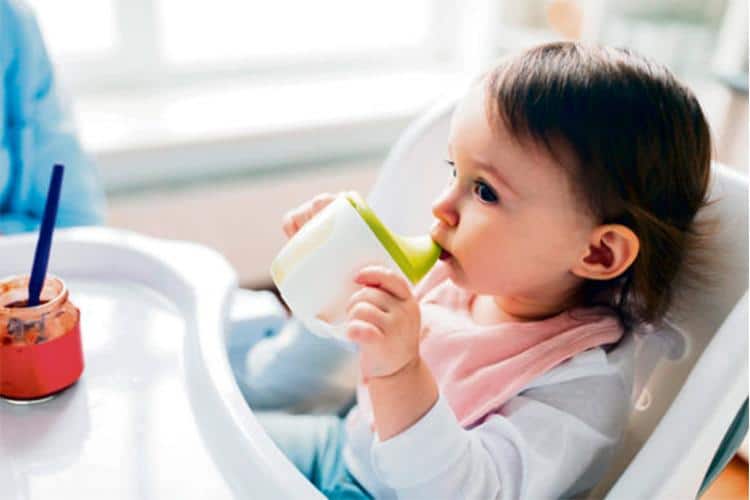 Everything You Need to Know About Baby Feeding Equipment – Kiddies Kingdom  Blog