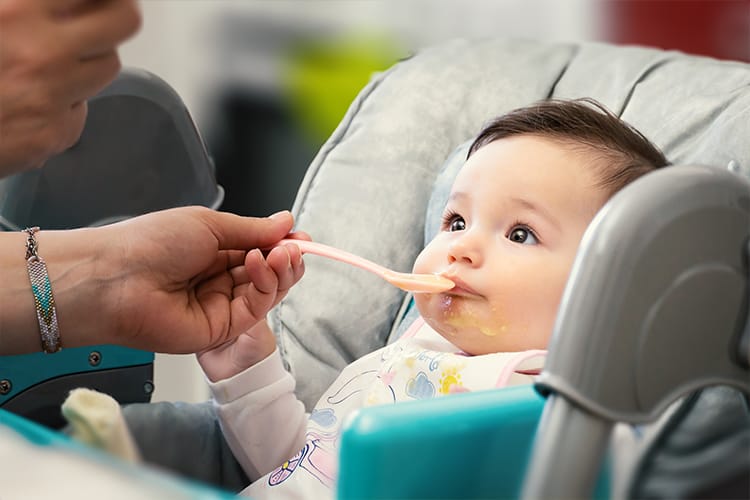 Homemade Baby Food On The Go