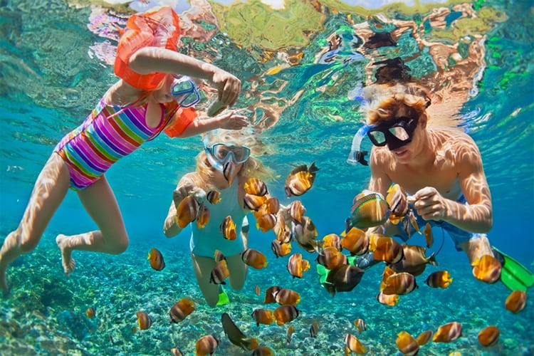 Snorkeling With Kids