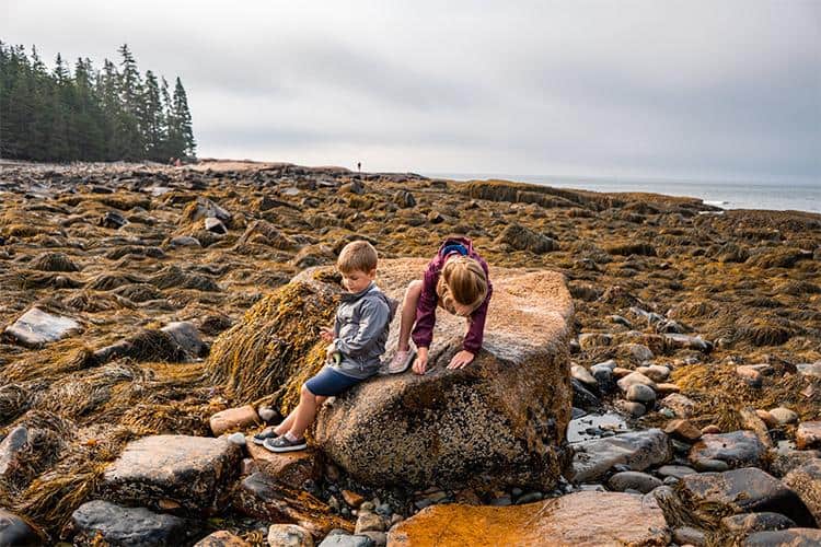Why You Should Visit Acadia National Park With Kids