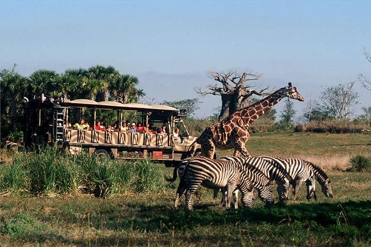 Kilimanjaro Safaris: Wildlife Viewing For All Ages