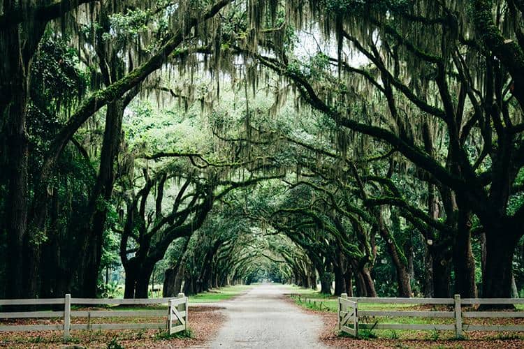 Why You Should Stay In Savannah For A Family Vacation