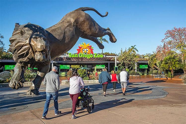 Mejor Momento Para Visitar El Zoológico De San Diego Con Niños