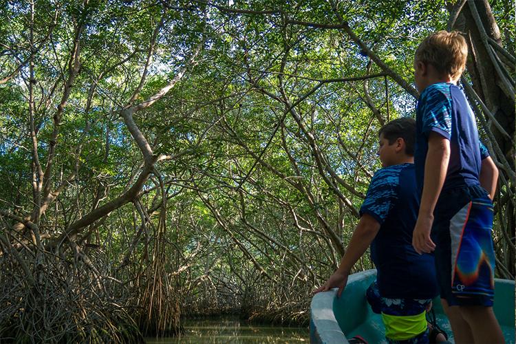 Viaje Sostenible En Familia En La Península De Yucatán